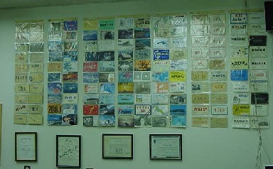 Wall O' Cards